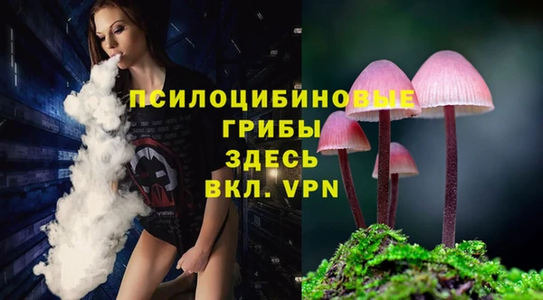 стафф Краснослободск