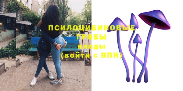 стафф Краснослободск