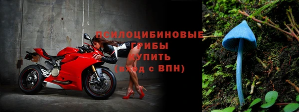 стафф Краснослободск